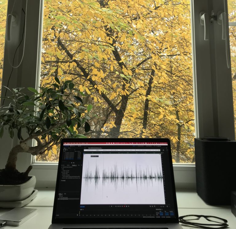 Støjniveau ved vindue